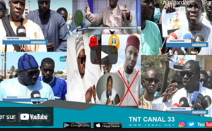 Propos de Cheikh Oumar Diagne sur Serigne Touba: Les mourides étalent leur colère