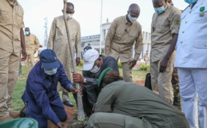 Kaffrine: Après l'hôpital Thierno Birahim Ndao, Macky Sall promet son clone à Ourosogui