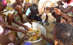 "De grandes entreprises européennes complices de l'insécurité alimentaire en Afrique de l'Ouest" ( Greenpeace)en
