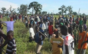 [Vidéo]Far West à Ndioloffène :  Affrontement armé entre propriétaires terriens et  disciples d'un marabout Mbacké-Mbacké(Regardez)