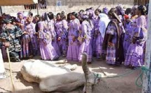 Rituel annuel «Tourou Mame Ndiaré» :  à partir de lundi Yoff célèbre son génie protecteur