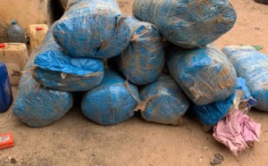 Diouloulou: La Gendarmerie arrête deux trafiquants avec 273 kg de yamba et...
