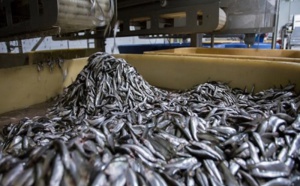 Colère noire contre l’usine de Barna de Cayar: Alioune Ndoye avoue son impuissance