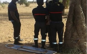 Taïba Ndiaye: Doudou Kâ, 19 ans, retrouvé mort, pendu à un arbre