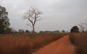 Mbacké : 13 villages bénéficient de latrines