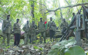 Processus de paix en Casamance: Le MFDC veut savoir où passe l'argent des Ong qui lui est destiné