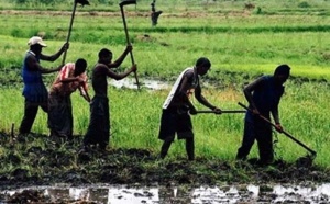 Paix en Casamance: “Chaque chef de village doit cultiver la paix chez lui” selon….