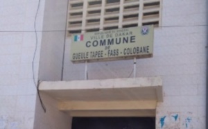 200 membres d'une coopérative cotisent chacun 10.000 FCfa pendant 7 ans: 10.500 FCfa trouvés dans le compte !