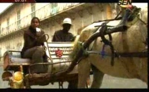 "Sama Gokh" du vendredi 16 Août 2013 (Sen-Tv)