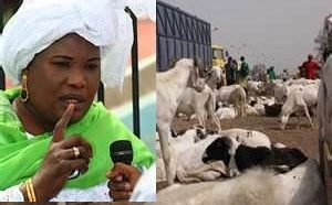 Tabaski 2013 : 720 000 moutons attendus, aucune garantie sur les prix