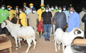 Macky Sall offre 5000 moutons de Tabaski, « sans condition de coloration politique »