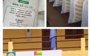 Exclusivité – Guinée Bissau : La Police judiciaire met la main sur plusieurs centaines de sacs de semences certifiées offertes par….Macky Sall