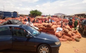 Les paysans de la zone des Niayes dans le désarroi: Le cri du cœur d’un citoyen à l’endroit du Président Macky Sall