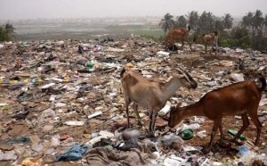 Lancement d’un projet de 17,5 milliards de FCFA pour la gestion des déchets solides urbains