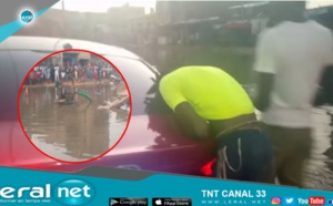 Thiaroye inondations: Un cheval meurt électrocuté, son propriétaire, hystérique, demande de l'aide