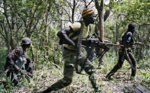 Large analyse du LASPAD : un dictionnaire sur le conflit et la paix en Casamance en vue