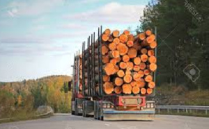 Arrestation d’un camion remorque chargé de bois à Sansamba-Sèdhiou  : Les jeunes s’érigent en boucliers contre le trafic