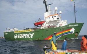 Implantation de nouvelles usines de farine et d’huile de poisson: Greenpeace Afrique et les pêcheurs crient au scandale