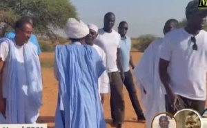 Magal 2021: Plus de 2 800 bœufs de Serigne Saliou Thioune, convoyés à Touba