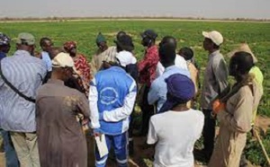 Amélioration des conditions de vie des populations: Le Waqf joue sa partition à Dabia dans le Matam