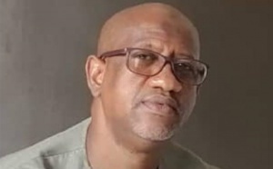 Haro sur les fraudeurs de passeports et visas - Par Djibril Bâ