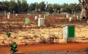 Sédhiou - Litige foncier sur près de 2 hectares : Sankoung Faty brandit un ordre d’expulsion, les occupants et la mairie le taclent