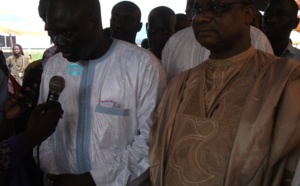 Direction générale de Dangote Sénégal : le vrai faux limogeage d'Aramine Mbacké