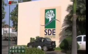 "Faram Facce" avec Moustapha Diakhaté, Ibrahima Bakhoum, Ousmane Sèye et Modou Diagne Fada 