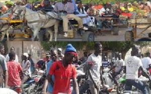 Transport à Touba durant le Magal: Les charretiers et conducteurs de Jakarta se sont frottés les mains