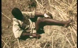 [Vidéo] Un chasseur de serpents géants se fait piquer par l'un d'eux