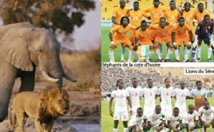 Football/ Côte d’Ivoire-Sénégal : Match classé « à risques » par la Fifa