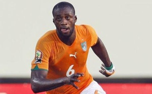 Yaya Touré sur twitter: « Les lions sont rois de la jungle, mais quand les éléphants passent, ils écrasent tout sur leur passage »