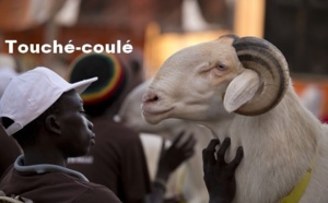 Dakar : après la pénurie d’eau, une rentrée des classes difficile et une Tabaski hors de portée
