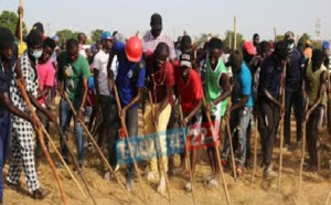 « Rak-Tak » pour la préparation du Gamou des Moustarchidines : Une marée humaine nettoie les 10 ha du Champ de Courses en moins de 2 heures