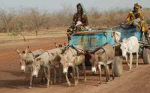 A Thionokh, des femmes accouchent dans des voitures "Wopou yaha", faute d'ambulance !