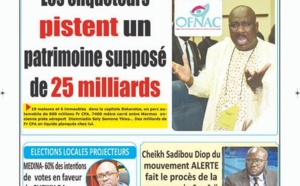 Farba Ngom vilipendé: L'Ofnac enquête sur un patrimoine supposé de 25 milliards FCfa
