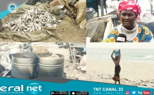 Transformatrices de poisson fumé ou "kéthiakh": Les doléances des braves du Sine à Macky Sall