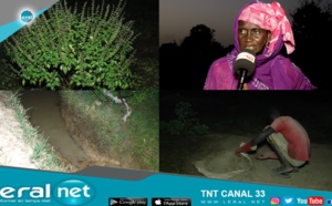 Richard-Toll: Pour soulager les cultivatrices, sauvez seulement "ndombo naana" et le tour est joué!