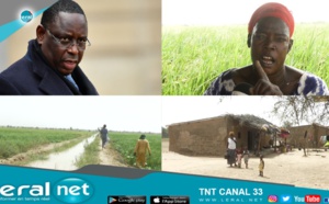 Fouta / Belly Thowi "maayi" ou l'enfer des riziculteurs: L'Etat du Sénégal n'est pas le bienvenu