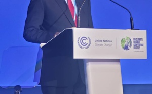Cop 26 / Abdou Karim Sall: "Restaurer la confiance dans le financement climatique"