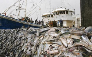 Pêche Inn dans les pays membres de la Csrp: Les pertes estimées à 1,9 milliard d’euros par an