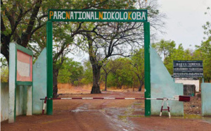 Environnement - Le parc déclaré patrimoine en péril : L’Etat veut sauver le Niokolo Koba