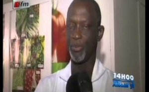Journal 14H du mardi 12 Novembre 2013 (Tfm)
