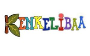 Kenkeli-IMMOBLIER: Logement Sociaux au Sénégal,les explications de Mr Seydou DIAWARA - Mr Aboubékrine GUEYE ( Architestes - Urbanistes )