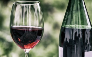 Des associés français pour un consommer local: Comme le Maroc, désormais, le Sénégal produit aussi son vin