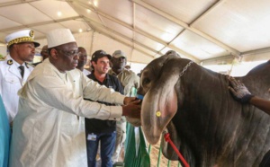 Journée nationale de l’Elevage: Les populations de Dahra Djolof et de la région de Louga, remerciées