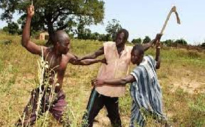 Pour la diminution des violences entre éleveurs et agriculteurs: Un CDD spécial sur la réglementation du parcours du bétail, tenu à Diourbel