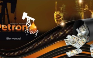 Escroquerie: 1000 Sénégalais déplumés par Petron Pay basée à Miami (USA)