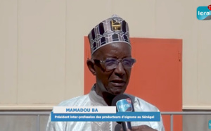 Conservation de leurs produits: Les producteurs d'oignons adoubent Macky Sall