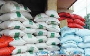 Initiative pour la réduction des importations de riz : Un projet agricole lancé à Fatick